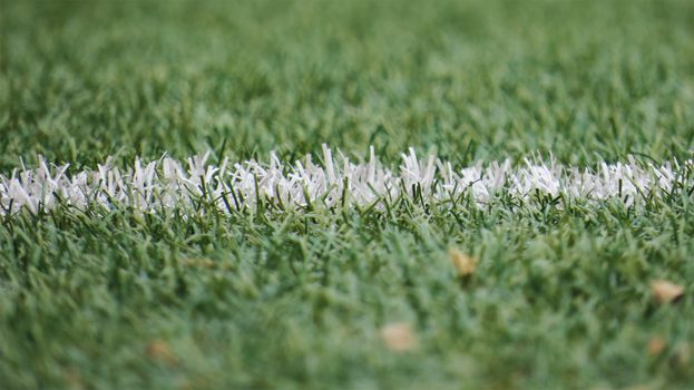 Artificial Turf M&A News: Mergers & Acquisitions Trends