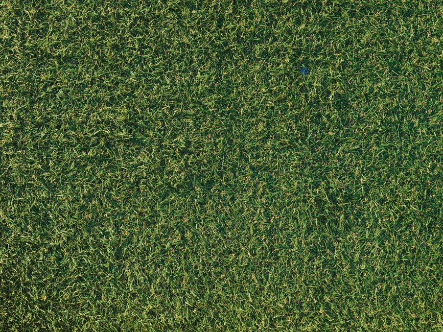 Top Artificial Turf Companies Compared