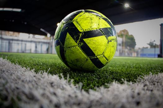 Best Artificial Turf for Dogs: Commercial Options