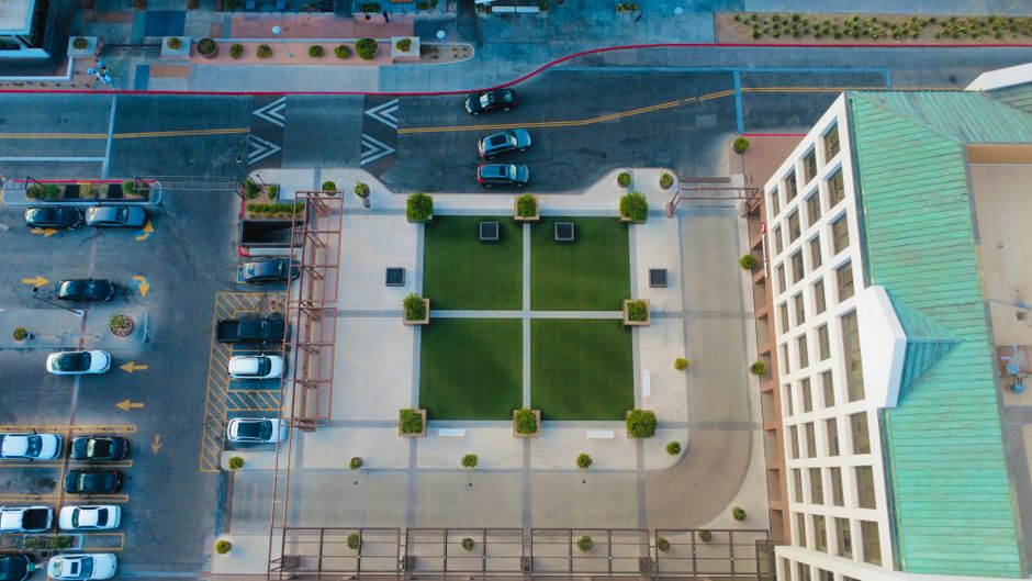 Top Commercial Artificial Turf Options for Dogs
