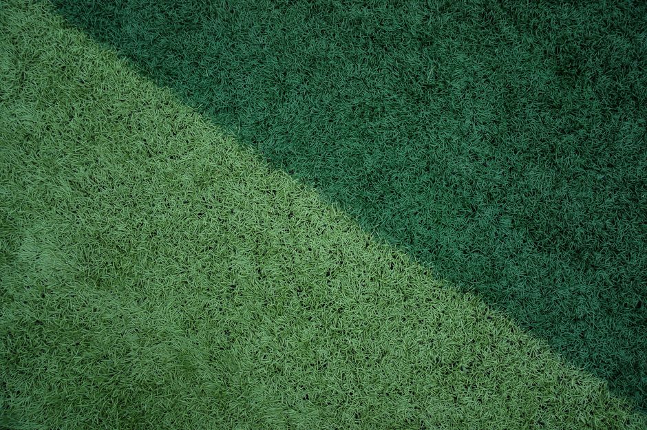 3. Best Eco-Friendly Infill: BioFill Coconut Hybrid