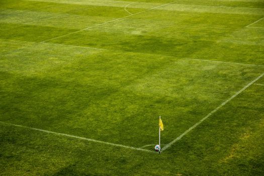 Artificial Turf for Sports Fields: Latest News 2024