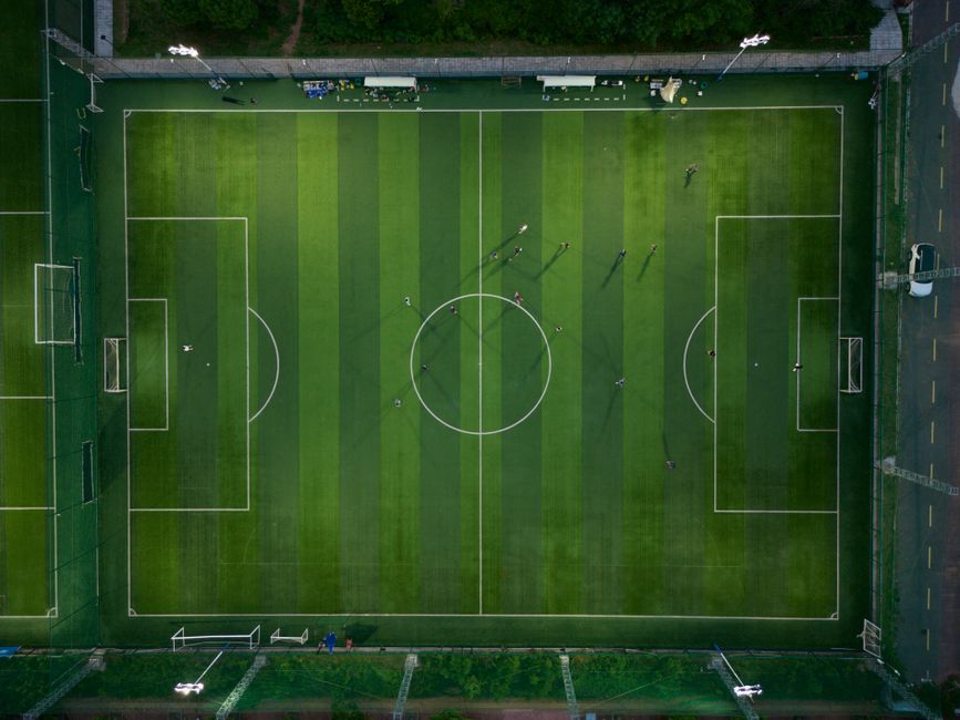 Top Artificial Turf Brands of 2024: Reviews and Ratings