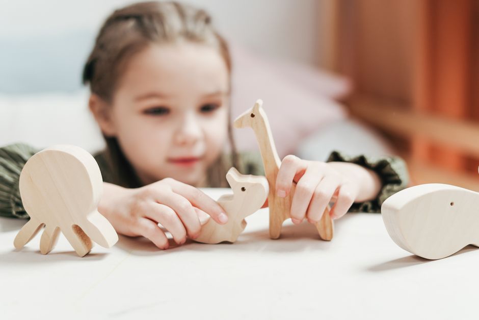 What Makes a Toy Eco-Friendly?
