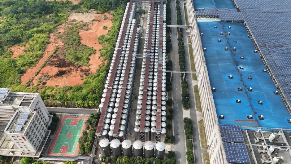Key Sustainability Initiatives Making Waves