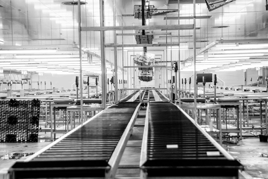 Automated Storage Retrieval System News and Updates: The Complete 2025 Guide