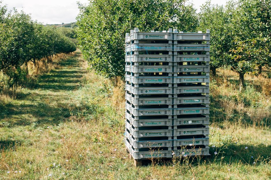 3. Sustainability Champion: GreenRack Systems