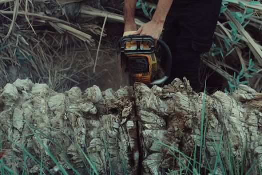How to Sharpen a Chainsaw Chain Safely