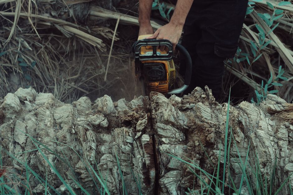 Why Sharpening Your Chainsaw Chain Matters