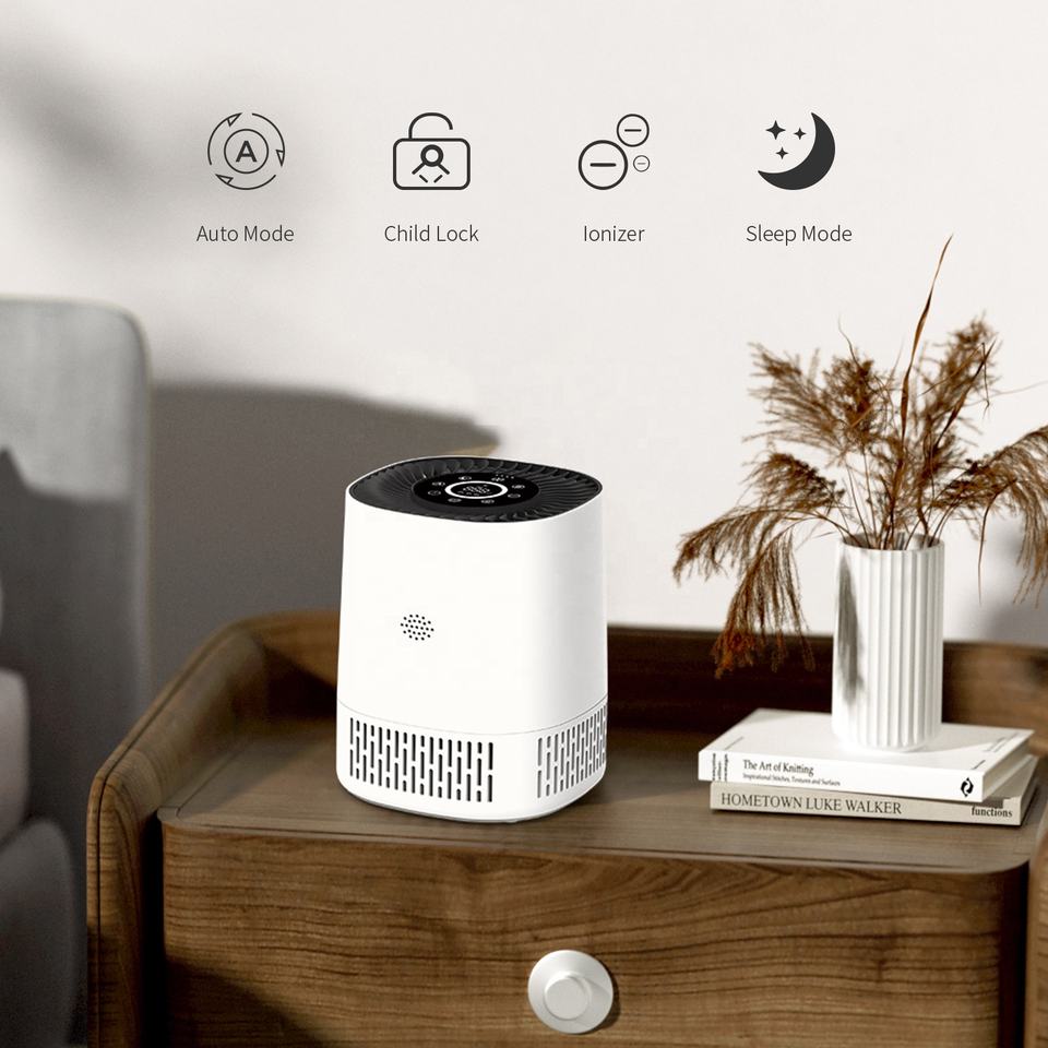 24-Year Air Purifier Manufacturer | CADR 100 Smart WiFi HEPA Purifier for Home