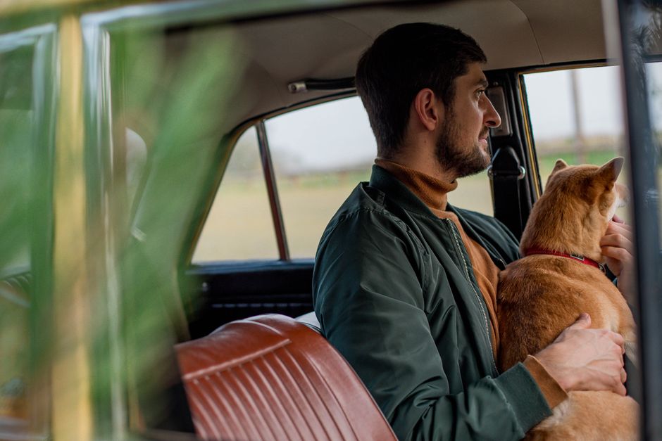 How Car Air Purifiers Combat Pet Dander