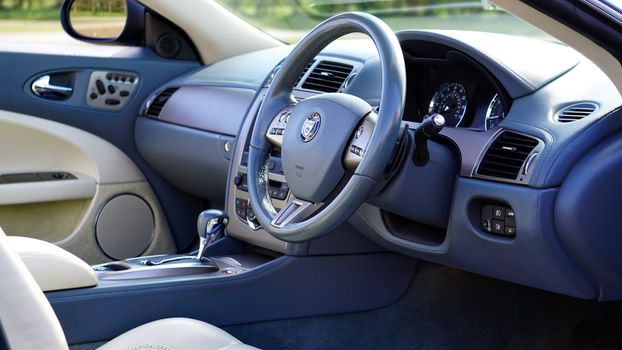 Car Air Purifier vs Cabin Air Filter: Which Do You Need?