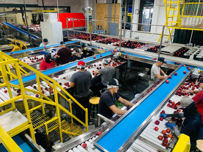 The Daily Conveyor Walkthrough Checklist