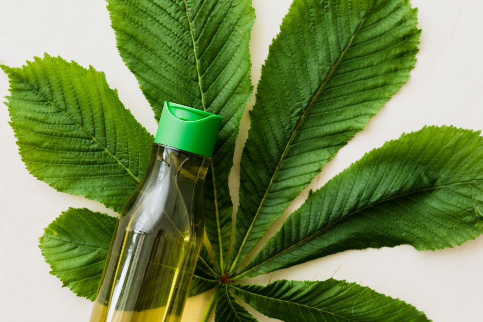 1. Plant-Derived Emollients and Oils