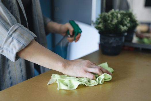 Top Eco-Friendly Disinfectant Companies in 2024