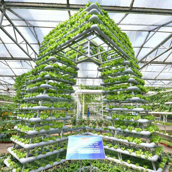 Sinok NFT Hydroponics Tower for Vertical Lettuce & Tomato Farming