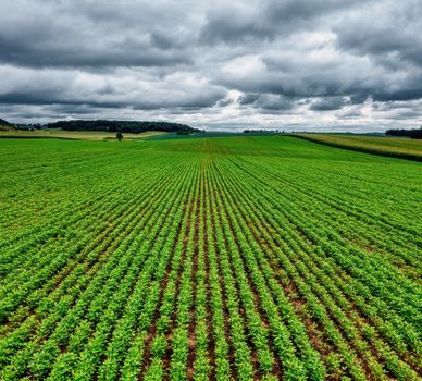 Crop Input Market Outlook 2025: News & Forecast