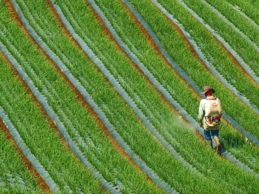 What Are Crop Inputs? A Quick Refresher
