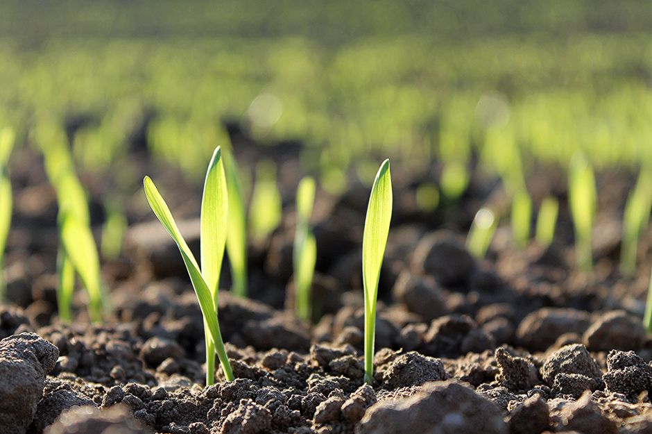 Latest News: Headlines Shaping the Crop Input Market