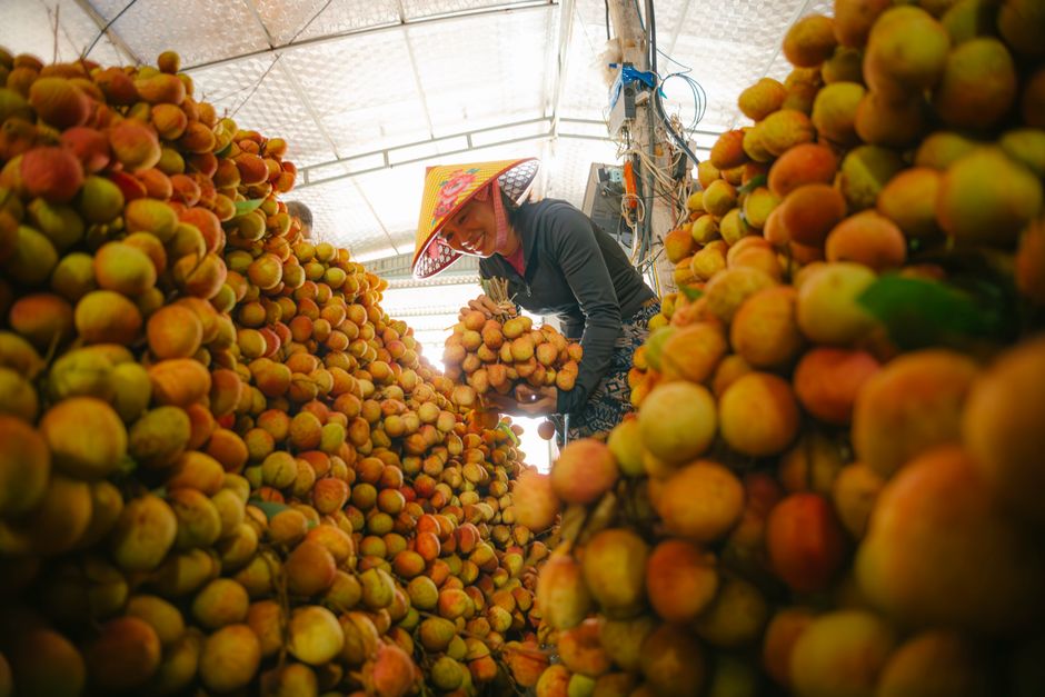 Regional Market Updates: Exports and Imports
