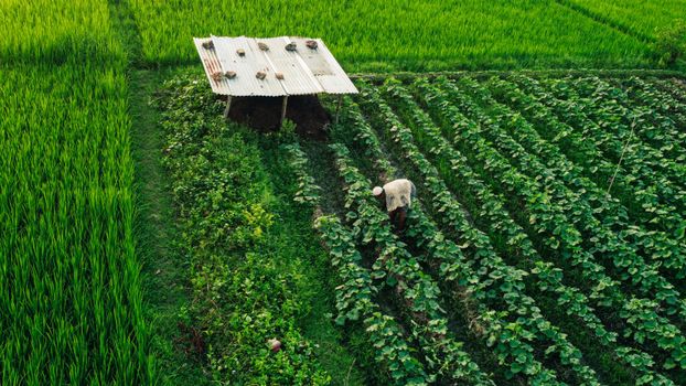 Agri Input Startup Funding News: Latest Rounds