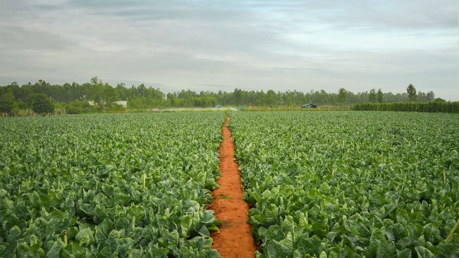 2. FarmWise – $45M Series B for Autonomous Weeding Robots