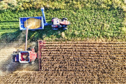 Farm Input Cost News 2025: What to Expect
