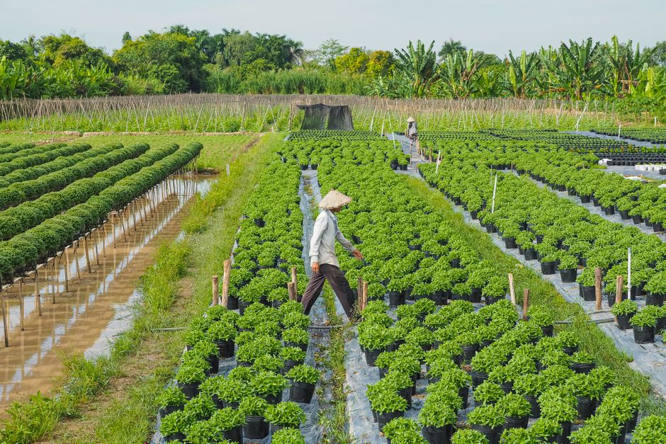 Farm Input Cost News 2025: What to Expect
