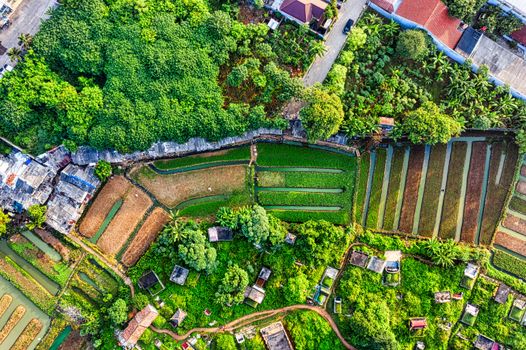 Agricultural Input Distribution News: Key 2025 Updates