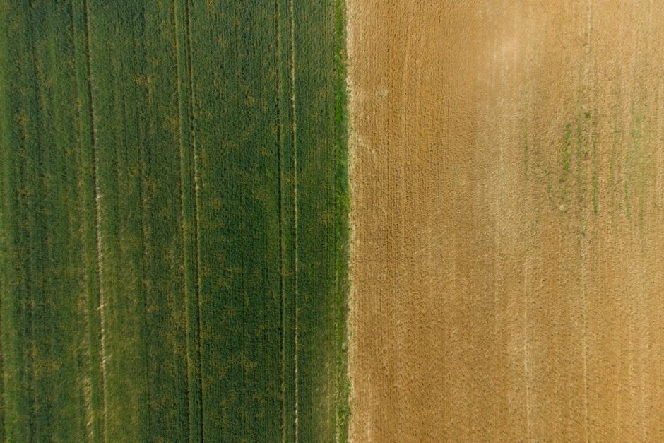 3. Regulatory Changes Reshape the Biologicals Landscape