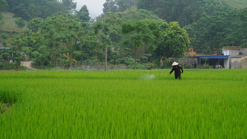 Why Agrochemical M&A Is Accelerating