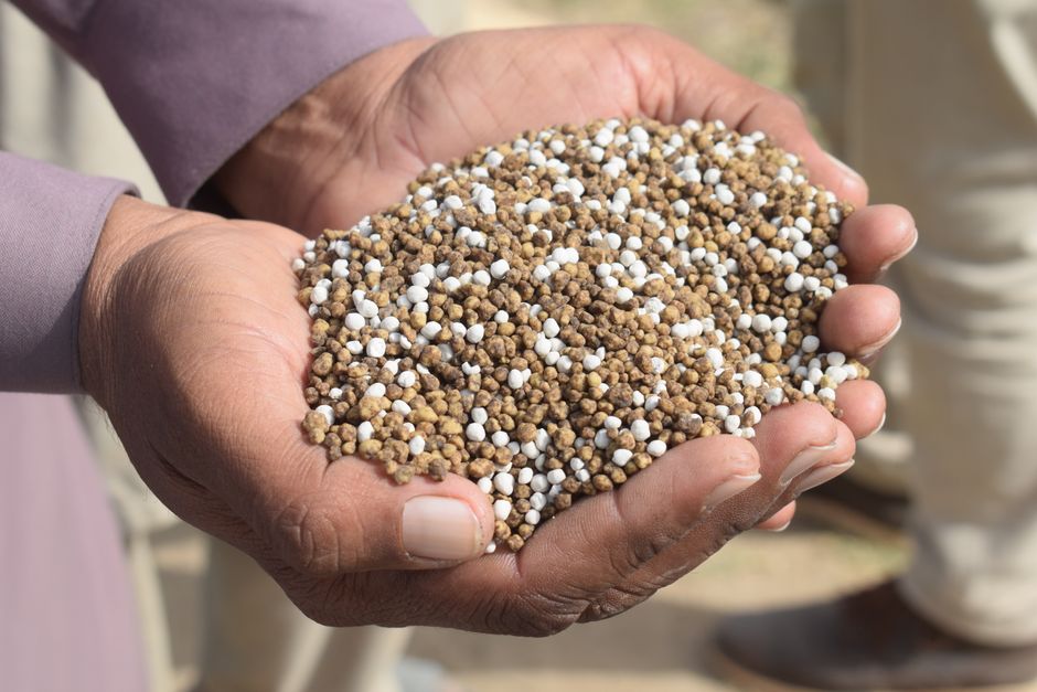 How Have Fertilizer Subsidy Rates Changed This Season?