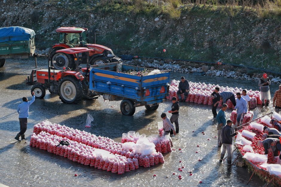 Trend 1: Regionalization of Fertilizer and Crop Input Production