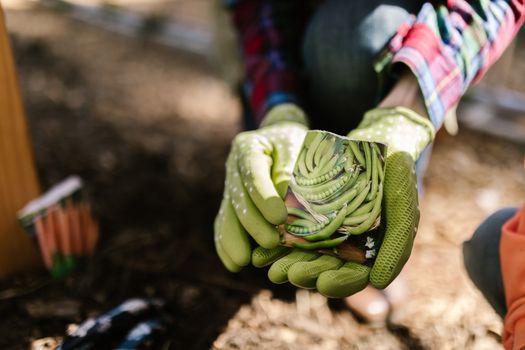 Seed Company Mergers: Latest News & Impact