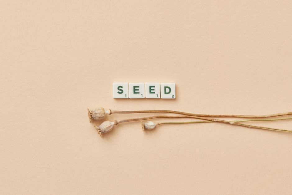 Seed Company Mergers: Latest News and What It Means