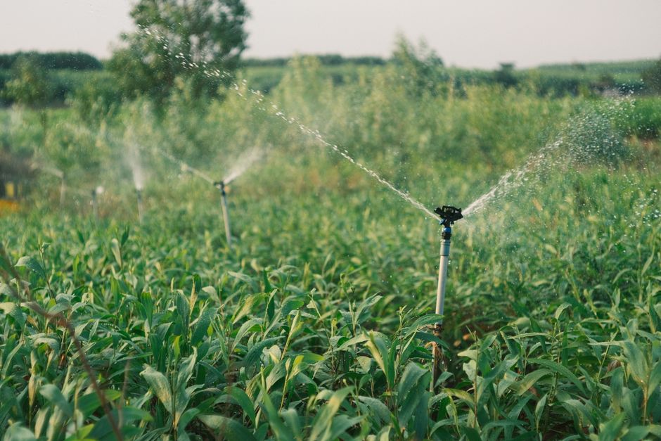 1. Corteva Expands Biologicals Portfolio With New Nitrogen-Fixing Inoculant