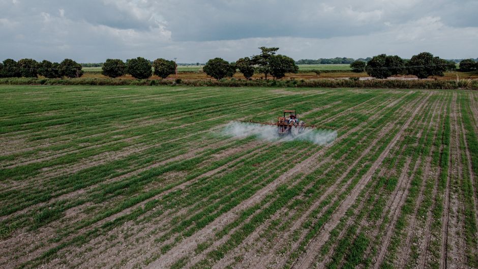 2. Syngenta Launches AI-Powered Soil Health Diagnostic Platform