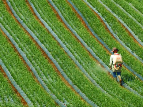 Agricultural Input Price Increases: Latest News & Impact