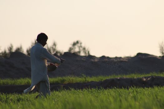 New Fertilizer Launches 2025: Farmer Guide