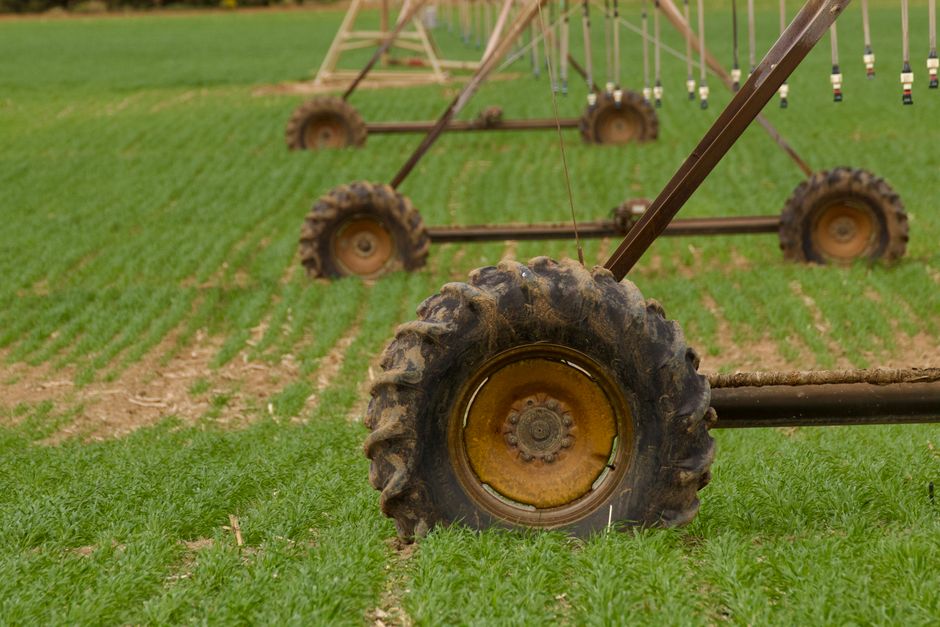 Why 2025 Is a Pivotal Year for Fertilizer Innovation