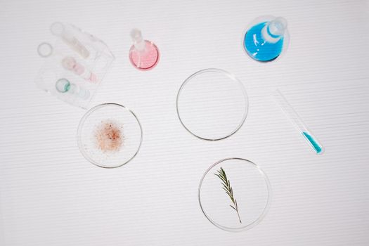 Plant-Based Food Additive News: Market & Innovation