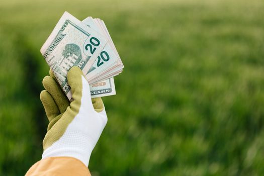 Food Additive Company Earnings Reports: 2025 Analysis