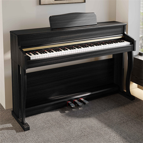 Adult Grading Kindergart