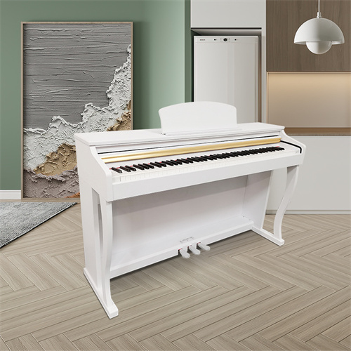 Pains 88-key electric pi