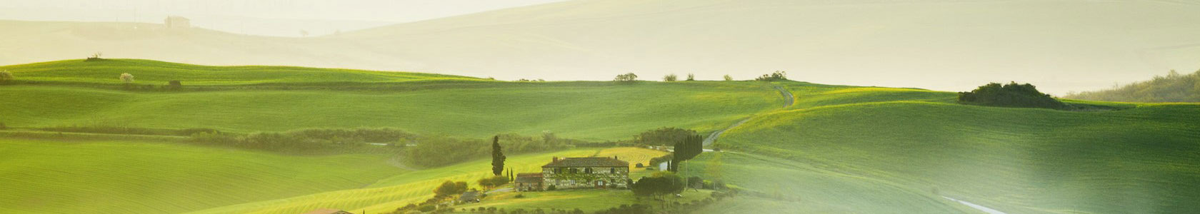 Landscape Engineering